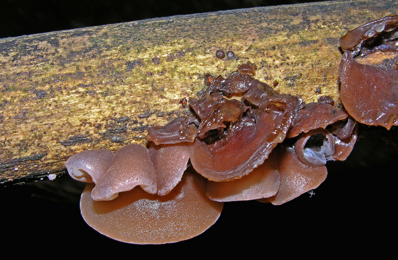 Risposte griglia 2 (marted� 29 maggio)